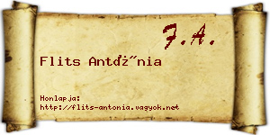 Flits Antónia névjegykártya